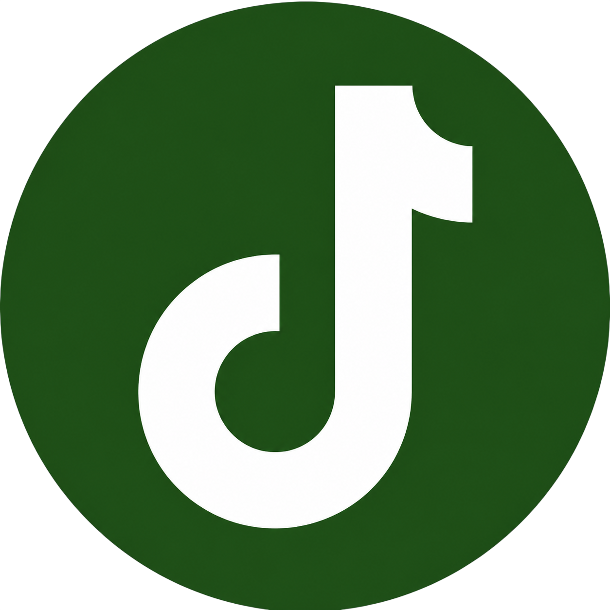 Tiktok.png
