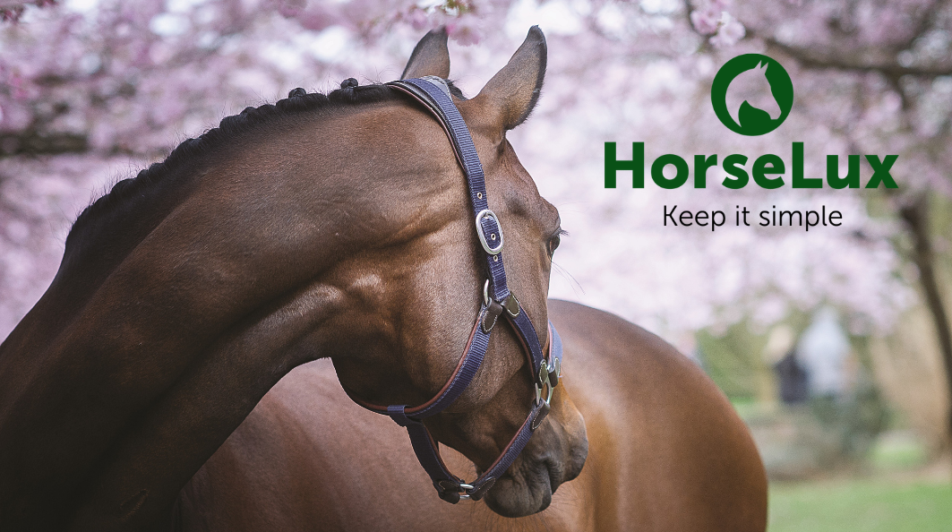 HorseLux hestefoder