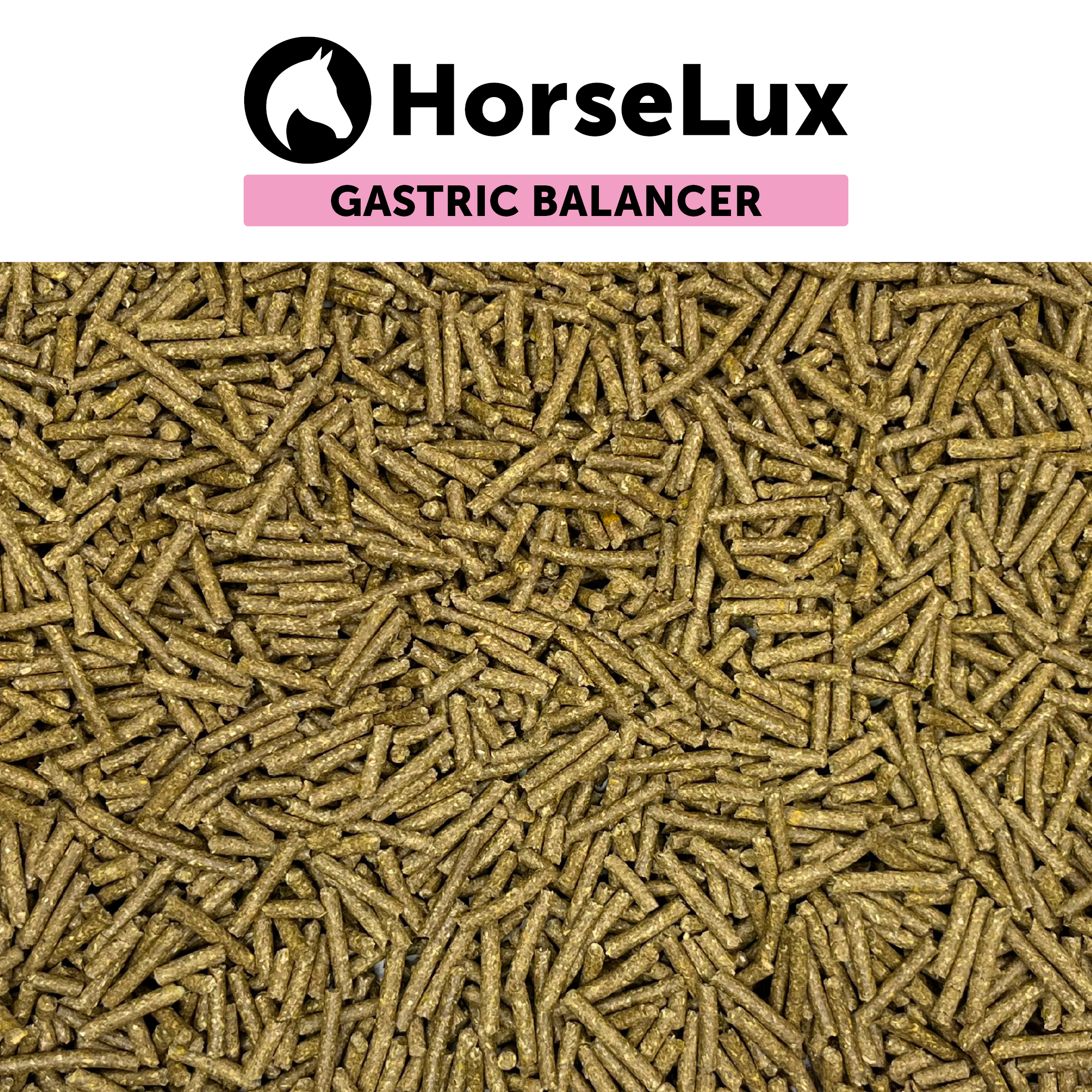 Gastric Balancer 1 kg