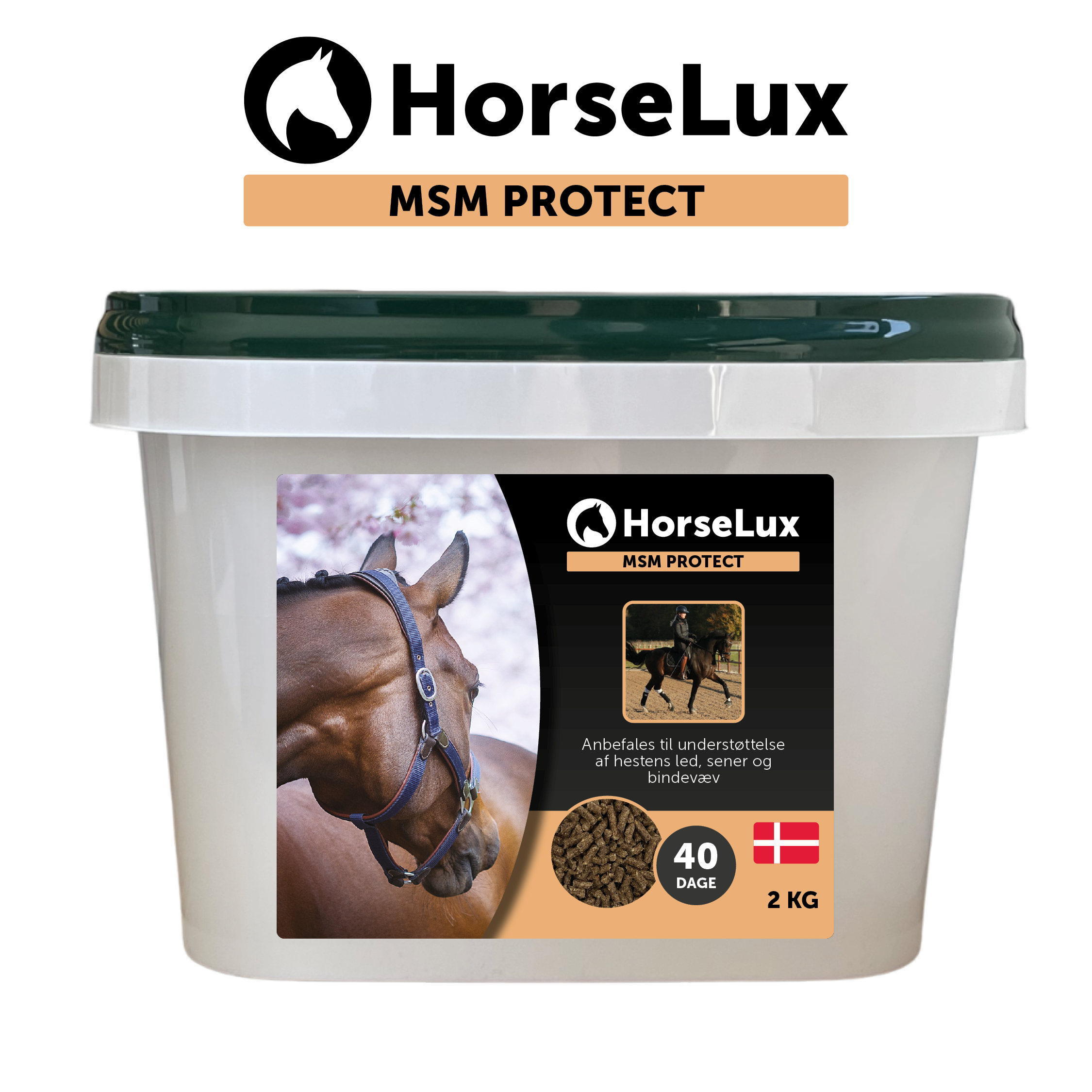 MSM Protect 2 kg