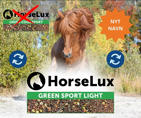HorseLux Green Sport Light