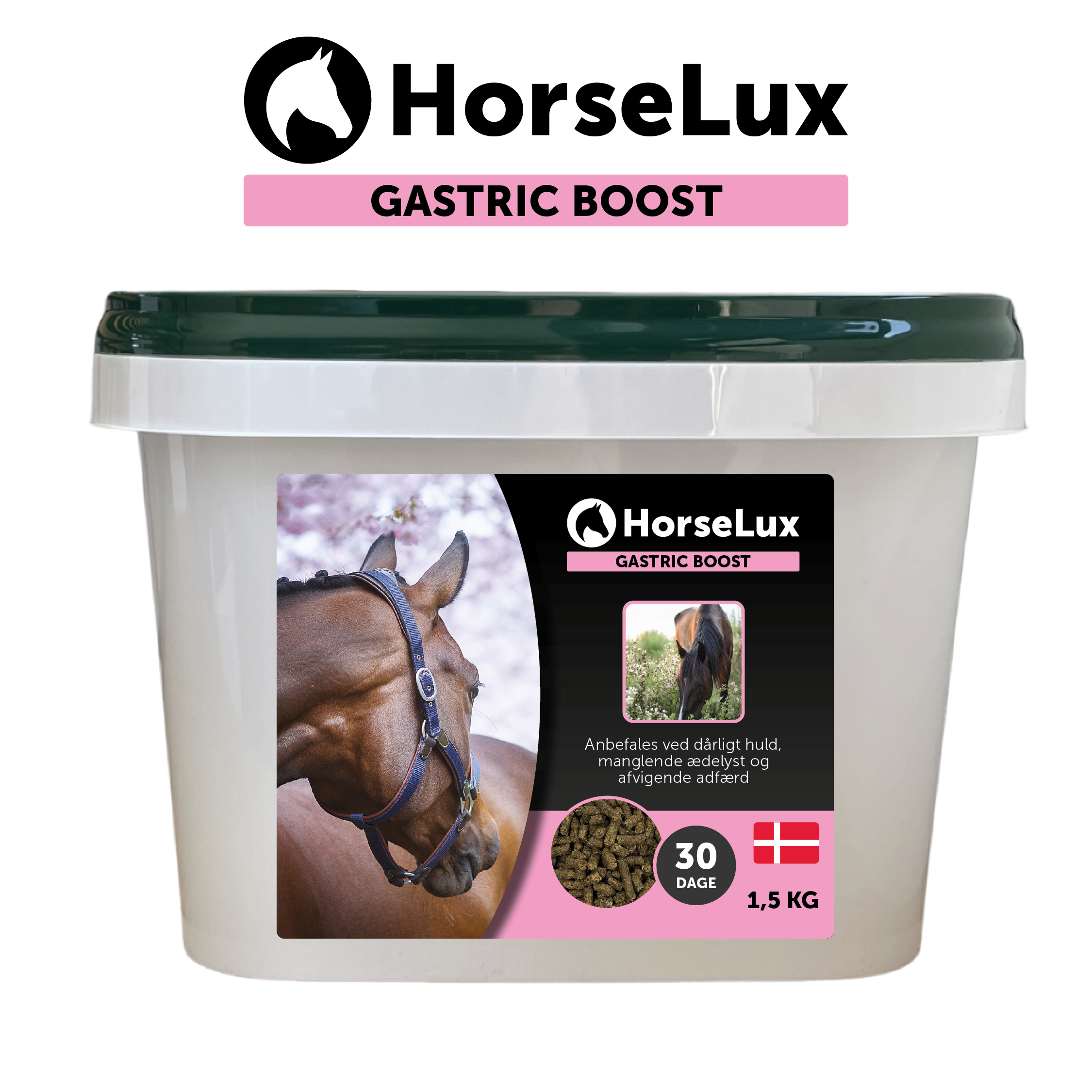 Gastric Boost 1,5 kg
